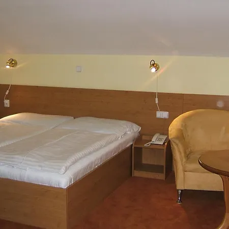 York Plzeň