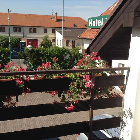 York Plzeň