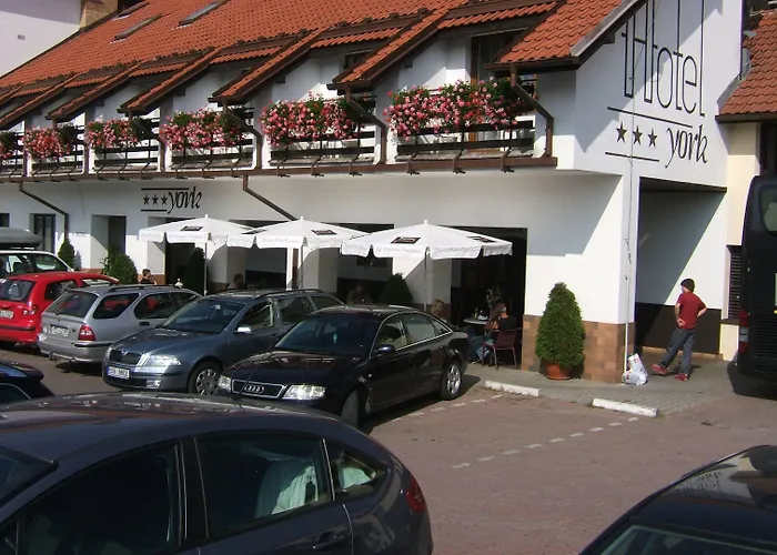 York Pilzno
